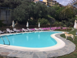 PROMOZIONE MESE DI MAGGIO 2016