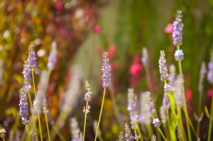 Speciale settimana dicembre 2013 al mare